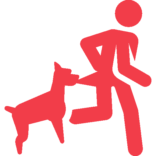 Dog Bite